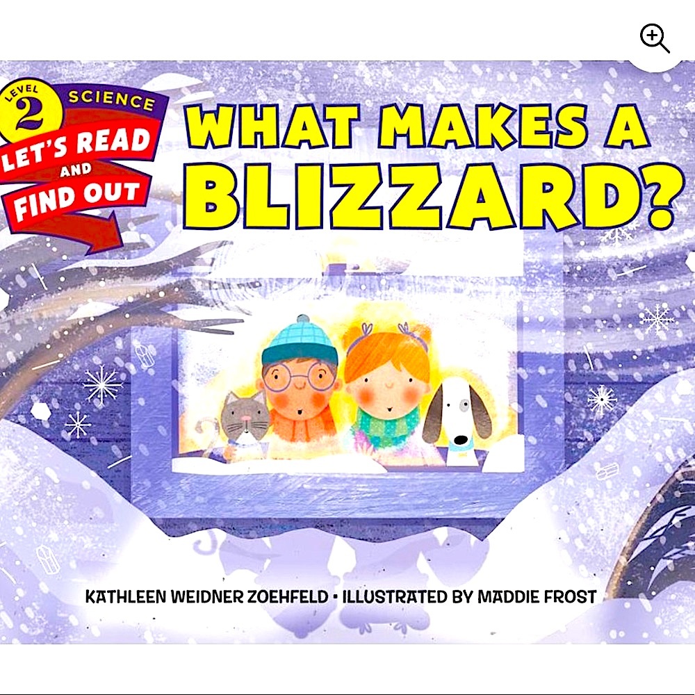 🌻4/$20 What Makes A Blizzard? Let’s Read And Find Out Level 2 book